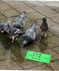 Green Must Have Ring Holder Organizer Rack For Racing Pigeons And Poultry Ring Storage Foot Ring Rack near pigeons on wet pavement