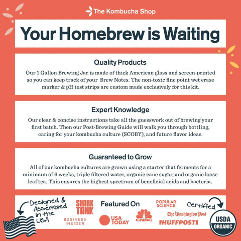 Infographic for Organic 1 Gallon Kombucha Starter Kit With SCOBY Fermentation Jar Tea And Sugar Bottling Essentials