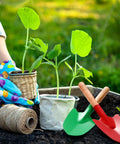 Two 12 Pack Kids Garden Shovels Set With Wooden Handles next to seedlings, showing red and green shovel options for backyard planting.