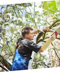 Man using Heavy Duty Aramid Arm Guards For Women, Badass Forearm Shields For Gardening And Yard Work, Cut Resistant Sleeves while pruning a tree.