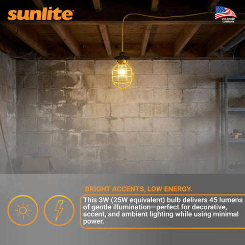 Industrial Cage String Lights 50 Ft With 5 E26 Sockets 75W Max Per Bulb ETL Rated Indoor Outdoor Jobsite Lighting in basement