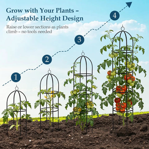 All Metal 6.6Ft Obelisk Trellis 2 Pack For Outdoor Climbing Plants And Indoor Potted Plants Heavy Duty Iron Plant Support with tomatoes