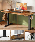 Wide 55 By 27.6 Inch Electric Standing Desk With Deep Desktop Height Adjustable Sit Stand Computer Desk for Home Office