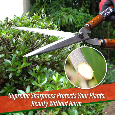 Pro Grade Hedge Shears 22.6 Inch For Precise Hedge Trimming And Shaping in use, cutting shrub branch, silver blades, ergonomic handle