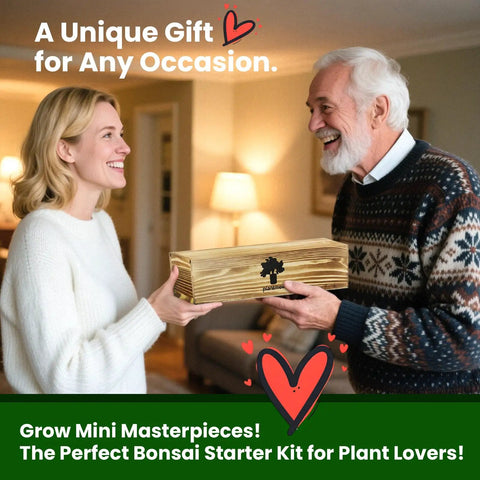 Two people exchanging a Beginner Friendly Five Varieties Japanese Bonsai Seed Kit for Indoor Gardening gift box indoors.