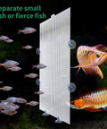 A Straight Up Fish Tank Divider Set That Slides Right In Without The Hassle Includes Tough Suction Cups and a plastic mesh grid separating fish.