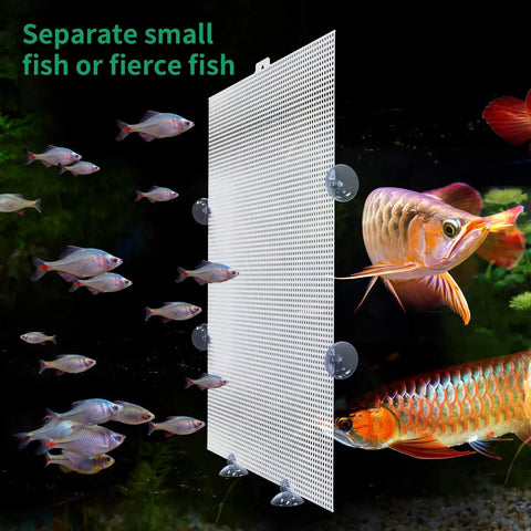 A Straight Up Fish Tank Divider Set That Slides Right In Without The Hassle Includes Tough Suction Cups and a plastic mesh grid separating fish.