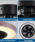 Close-up of 19 Inch Enclosed Ceiling Fan With Lights, 6 Speeds, Low Profile Flush Mount showing black metal canopy, motor, acrylic lampshade, fan blade.