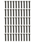 Fifty Pack Beefed Up Socket Head Cap Bolts 3/8X2 Inch Alloy Steel Bouldering Climbing Holds Mounts For Home Gyms Easy Rigging, arranged in rows.