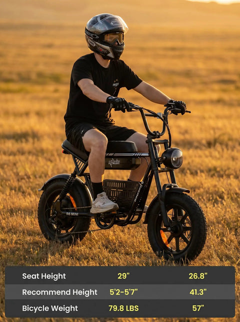 Rider on R6mini 1000W Fat Tire Electric Bike With Front Light And Bluetooth Speaker in golden field
