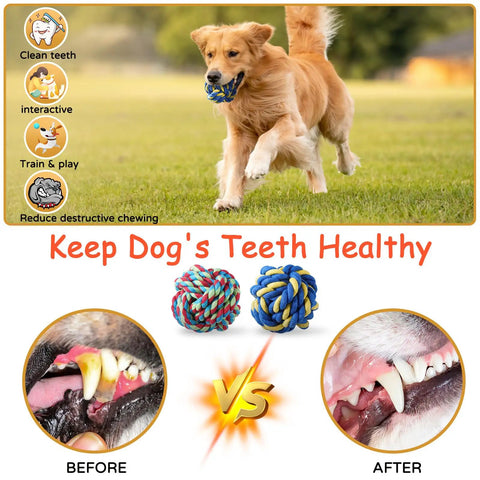 Golden retriever running with Indestructible Dog Rope Toy for Aggressive Chewers showing before and after dental health effects.