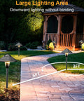 Low Voltage LED Landscape Lighting Kit For Your Yard And Garden With Path Lights illuminating a garden path near a wooden gazebo