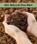Hands holding 100% natural pine bark for One Hundred Percent Organic Orchid Potting Bark Eight Quarts All Natural Pine Bark Mix Additive For Orchids And Epiphytes With Dope Drainage And Airy Roots For Indoor And Outdoor Container Gardening.