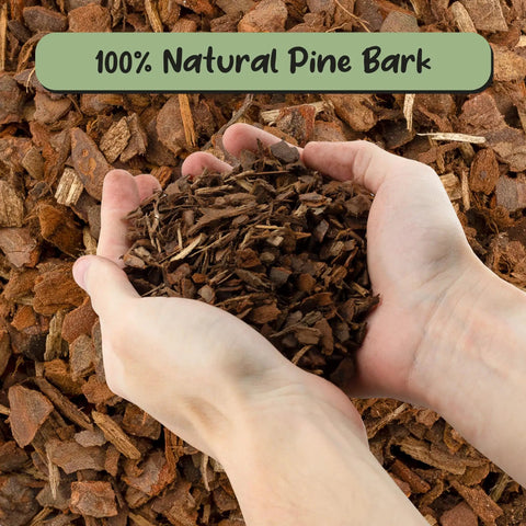 Hands holding 100% natural pine bark for One Hundred Percent Organic Orchid Potting Bark Eight Quarts All Natural Pine Bark Mix Additive For Orchids And Epiphytes With Dope Drainage And Airy Roots For Indoor And Outdoor Container Gardening.