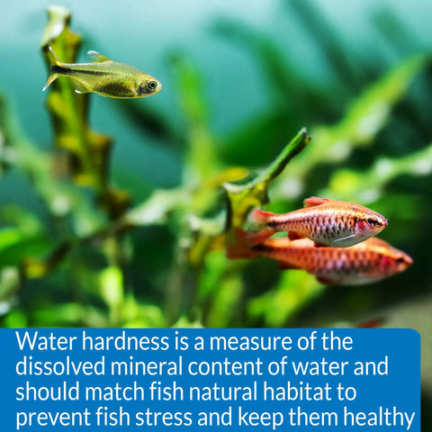 Slick Freshwater Aquarium GH And KH Water Test Kit Featuring Pro Level Liquid Reagents For Crystal Clear Tanks with tropical fish.