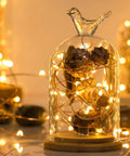 Glass dome display with 4 Pack 33 Feet 100 Warm White LED Fairy Lights Battery Operated With Remote Control Timer IP67 Waterproof Silver Copper Wire Twinkle Lights For Indoor Outdoor Decor Party Weddings Dope Glow creating a warm ambiance.