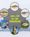 Collage of five different fish species ideal for ice and freshwater fishing, shown in small circular frames over a snowy landscape background.