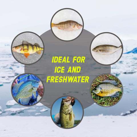 Collage of five different fish species ideal for ice and freshwater fishing, shown in small circular frames over a snowy landscape background.