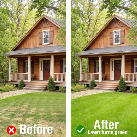 Before and after image of lawn showing effect of Step Through Lawn Aerator Tool With Full Foot Pedal for healthier grass.