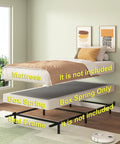 Twin Box Spring Low Profile Heavy Duty Platform Mattress Foundation with mattress and bed frame labels.