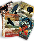 Premium Black Crow Oracle Card Deck And Illustrated Guidebook For Soulful Divination Big Energy Mystic Vibes Top Shelf Spiritual Readings Best Seller Gift Set with colorful cards and box.
