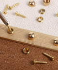 Premium Brass Decorative Screws With Caps And Thumb Tacks Set 15mm for mirrors, windows, doors, and furniture installation