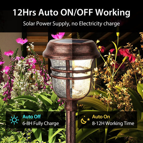 Six Pack RGBW Solar Pathway Lights Outdoor With Auto On Off IP65 Waterproof LED Garden Path Lights For Landscape Patio