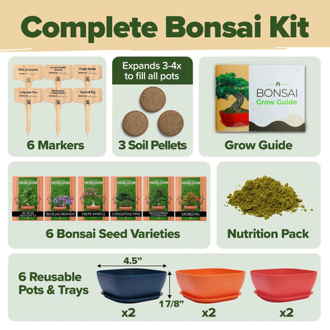 Complete bonsai kit with 6 seed varieties, markers, soil pellets, grow guide, nutrition pack, and unique pots for DIY enthusiasts.