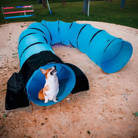 Saddlebag Style Sandbag for Dog Agility Tunnel, Heavy Duty PVC Weather Resistant, holds tunnel with dog inside, black