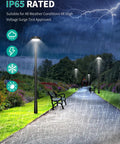 Rugged Outdoor LED Post Top Light With Adjustable 3CCT And Built To Last Multi Watt Options illuminating a rainy path in a garden.
