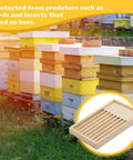 Colorful beehive boxes and inset of Two Pack 8 Frame Slatted Beehive Rack For Beekeepers on grass