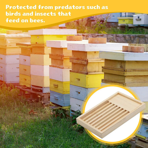 Colorful beehive boxes and inset of Two Pack 8 Frame Slatted Beehive Rack For Beekeepers on grass