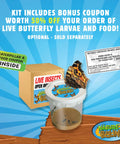 Butterfly Growing Kit For Kids Hands On Live Caterpillars To Butterflies Project With Green Pop Up Enclosure Caterpillar Voucher STEM