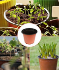 Six Inch Plastic Plant Pots For Seed Starting Starter Pots And Nursery Use Pack Of Fifty Durable Seedling Pots With Drainage Holes