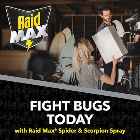 Spider And Scorpion Killer Spray For Indoor And Outdoor Use That Kills Spiders Scorpions Ants Roaches Waterbugs Earwigs