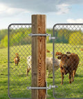 Stainless Steel Gate Hinge Heavy Duty Outdoor Attachment with eye plate on chain link fence in farm setting.