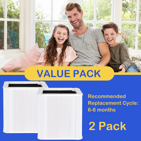 Replacement Filter For 211 Plus Air Cleaner Purifier Two Pack With True HEPA And Activated Carbon Foldable Filter Design displayed.
