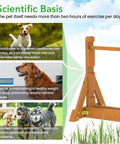 Benefits of Dog Agility Set With Wooden Jumps And Hurdles, Backyard Obstacle Course Training Gear For Dogs, highlighting health and fitness.