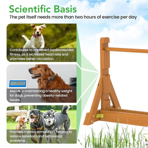 Benefits of Dog Agility Set With Wooden Jumps And Hurdles, Backyard Obstacle Course Training Gear For Dogs, highlighting health and fitness.