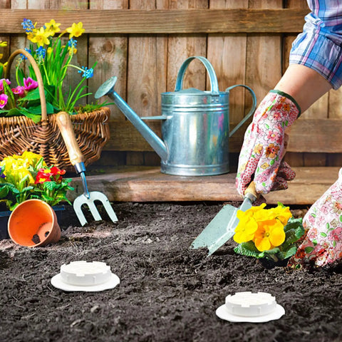 Outdoor Worm Farm Composter For Raised Beds And Yards Turns Kitchen Scraps Into Rich Organic Compost With Earthworms In A No Brainer Setup That Accelerates Decomposition And Slashes Food Waste Ideal For Gardens Patios And Outdoor Spaces installed in garden