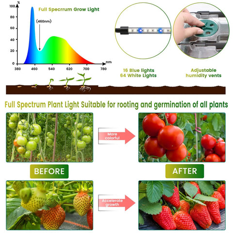 Diagram of 80 Cell Seed Starter Tray Kit With Grow Lights For Seedling Growth 2 Pack showing light spectrum and plant growth stages.