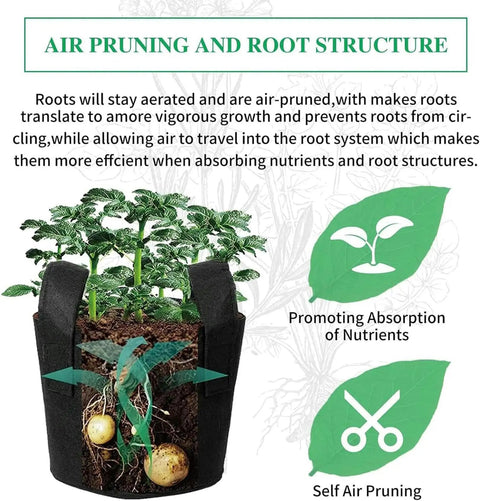 Cross-section of a plant in a pot highlighting air pruning and root structure with text promoting nutrient absorption and self pruning.