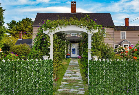 Artificial Ivy Privacy Fence Screen 118 By 39.4 Inches For Outdoor Walls And Garden Decor on garden archway