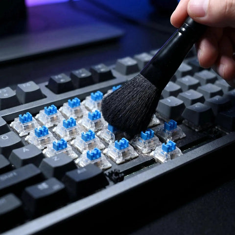 Blue 3-Pin Clicky Mechanical Keyboard Switches 50gf Actuation, Tactile And Audible Feedback, 30-Piece Bulk Pack For DIY Keyboards, Gaming, Typists, And Fidget Enthusiasts on keyboard
