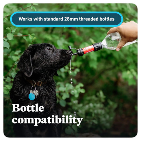 Palm Sized Mini Water Filtration System SP128 Blue used with bottle to give water to black dog outdoors. Ultra lightweight inline filter.