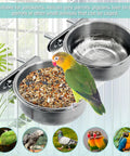 PINVNBY stainless steel bird bowls with clamp holders mounted on cage; 2-piece parrot feeder set.