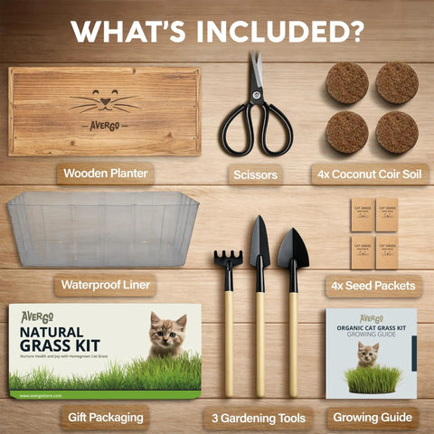 Indoor Cat Grass Kit With Four Seed Packets, Wooden Planter, Coconut Coir Soil Discs, And Mini Tools For Nipping And Nibbling, Wheatgrass Cat Grass For Hairball Control And Digestive Support components displayed.