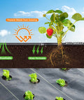 Illustration of Heavy Duty Weed Barrier Landscape Fabric 3x100ft 3.2oz Garden Cloth Ground Cover For Gardening with pegs.