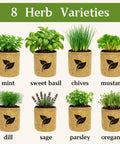 Indoor Herb Garden Starter Kit All In One Garden Set With 8 Biodegradable Pots Soil Discs And 8 Non GMO Seeds Basil Mint Oregano