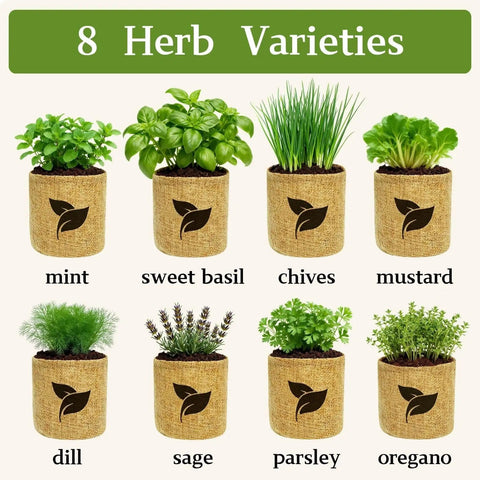 Indoor Herb Garden Starter Kit All In One Garden Set With 8 Biodegradable Pots Soil Discs And 8 Non GMO Seeds Basil Mint Oregano
